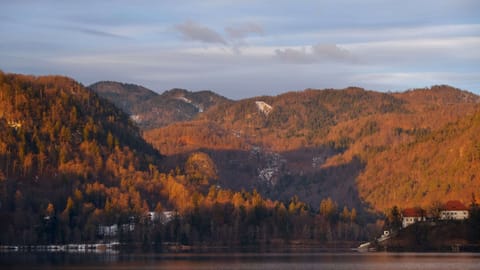 Lake Bled — DSCF4479 Cesta svobode, Slovenia | XF16-55mm f3.7 1/240s ISO320
