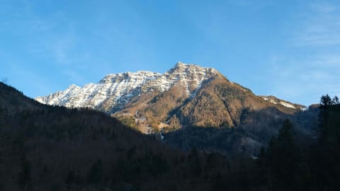 Lake Bled — DSCF4724 Road 206, Slovenia | XF16-55mm f4.6 1/220s ISO320