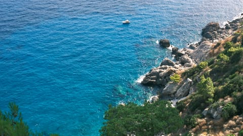 Capri — DSCF4115 Via Krupp, Italy | XF16-55mm f8.9 1/97s ISO800