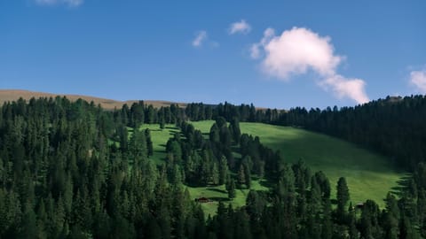 Seceda — DSCF0142 St. Ulrich in Gröden, Ortisei, Italy | XF16-55mm f4.0 1/980s ISO320
