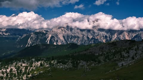 Selva — DSCF0742 San Vito di Cadore, Belluno, Italy | XF16-55mm f8.6 1/1000s ISO1600