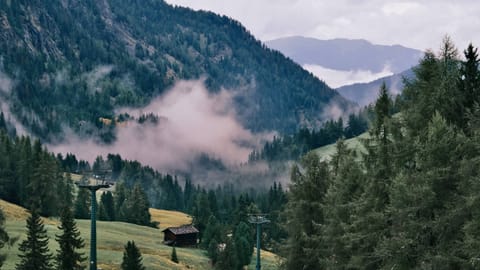 Alpe di Siusi — DSCF7954 Kastelruth - Castelrotto, South Tyrol, Italy | XF16-55mm f7.4 1/63s ISO500