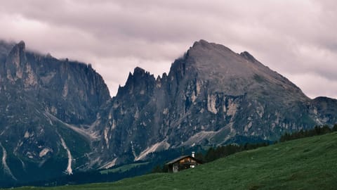 Alpe di Siusi — DSCF7960 Kastelruth - Castelrotto, South Tyrol, Italy | XF16-55mm f6.9 1/84s ISO500