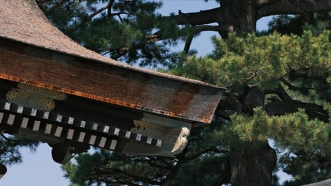 Kyoto — DSCF7426 Kyoto Imperial Palace Park, Higashisakuracho, Kyoto | XF90mm f6.9 1/260s ISO800