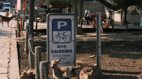 Nara — DSCF7619 Suimoncho, Nara, Japan | XF16-55mm f8.6 1/120s ISO800