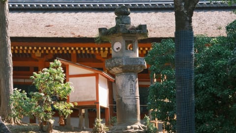 Nara — DSCF7696 Nara, Nara Prefecture, Japan | XF16-55mm f8.6 1/31s ISO800