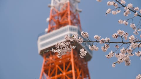 Tokyo — DSCF8418 Azabudai 1, Minato, Tokyo | XF16-55mm f4.0 1/3200s ISO320