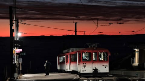 Rigi — DSCF5789 Kulmweg, Arth, Switzerland | XF90mm f4.6 1/16s ISO3200