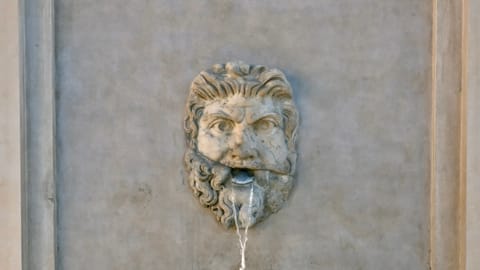 Bocche di verità — DSCF1309 Stradone dei Giardini, Vatican City, Vatican City | XF16-55mm f8.6 1/120s ISO500