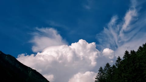 Wengen — DSCF9018 Moosmatte, Zweilütschinen, Switzerland | XF16-55mm f5.0 1/2000s ISO320