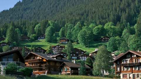 Wengen — DSCF9508 Beim Schützenbach, Lauterbrunnen, Switzerland | XF16-55mm f8.3 1/130s ISO800